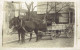 Aaa Carte Photo A Localiser Attelage  De 2 Chevaux  - To Identify