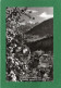 FELDKIRCH VORALBERG  AUTRICHE VORALBERG CPSM Année 1964 EDIT  Jhare Foto Rich-lou - Feldkirch
