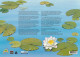 AUSTRALIA 1999 Small Pond Life : Presentation Pack With Phonecard UM/MNH - Presentation Packs