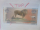 SOMALILAND 1000 SHILLINGS 2006 Neuf (B.29) - Somalie