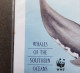 South Africa WWF Whales Southern Oceans 1998 Marine Life Whale (stamp FDC) *see Scan - Lettres & Documents