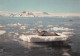 SEA LION IN ANTARCTICA 1988/89 / *291 - Andere & Zonder Classificatie