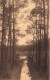 BELGIQUE - Rijmenam - Le Vennepoel - Forêt - Edit. Thys - Forêt - Ruisseau - Carte Postale Ancienne - Bonheiden