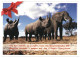 White Rhinoceros & Elephant Unused WWF Postcard. Publisher World Wide Fund For Nature, Solna Sweden - Neushoorn