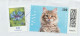 6784 Lettre Cover DEUTSCHLAND ALLEMAGNE 2023 Chat Cat Katze Haus Tiere - Cartas & Documentos