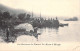 BELGIQUE - DINANT - Les Environs De Dinant - La Meuse à Rivage - Carte Postale Ancienne - Dinant