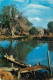 Postcard United States > LA - Louisiana > New Orleans Marsh Landscape 1974 - New Orleans