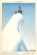 Gd Format :environ15cms X10cms-ref AC736-illustrateurs-illustrateur Samivel -le Bonheur Des Purs -alpiniste - - Samivel