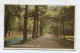 AK 141895 ENGLAND - Southampton - The Avenue - Southampton