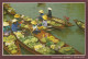 CARTE POSTALE 10CM/15CM PHOTO ORIGINALE COULEUR DE THAILANDE : DAMNERNSADUAK FLOATING MARKET THAILAND RAJBURI PROVINCE - Tailandia