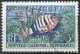 Delcampe - Nouvelle Calédonie - 1943/1959 - Lot Timbres * TC Et Oblitérés - Nºs Dans Description - Usati