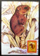 Macau Macao Year Of The Rat 1984 Chinese Lunar Zodiac (maxicard) - Storia Postale