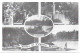 REPRODUCTION CARD. SCENES FROM VIRGINIA WATER, SURREY, ENGLAND. UNUSED POSTCARD   Sa7 - Surrey