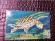 BRITSCH VIRGIN ISLANDS  US$10   BVI-22A   TURTLE        22CBVA     Fine Used Card   ** 13733** - Virgin Islands