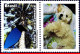 Ref. BR-3204-1FO BRAZIL 2011 - BLUE JACKDAW,BIRDS, DOG, SHEET PERSONALIZED MNH, ANIMALS, FAUNA 12V Sc# 3204 - Personalisiert