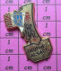 1518B  Pin's Pins / Beau Et Rare / SPORTS / PARACHUTISME TROPHEE ALSACE - Parachutespringen