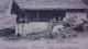 74 136 CHALET DE MONTAGNE EDIT PITTIER ANNECY 1902 - Sonstige & Ohne Zuordnung