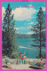 292499 / United States - Lake Arrowhead  The Lodge Terrace PC USED (O) Flamme San Bernardino 1968 - 15c. Statue Liberty - San Bernardino