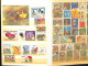 Delcampe - Sam - Continent Africain Album De Plusieurs Centaines De Timbres - Africa (Other)