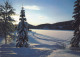 Norway PPC Vinter I Norge Winter In Norway A PRIORIATAIRE PAR AVION Label Normann AURDAL 1994 NYKØBING Sjælland Denmark - Briefe U. Dokumente