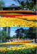 4-7-2023 (1 S 20) Australia - Canberra FLORIADE Flower Show (3 Postcards) - Canberra (ACT)