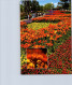 Delcampe - 4-7-2023 (1 S 20) Australia - Canberra FLORIADE Flower Show (3 Postcards) - Canberra (ACT)