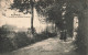 BELGIQUE - Montaigu - Chemin Du Grand Rosaire - Edit. Emile Dumont - Promenade - Couple - Animé - Carte Postale Ancienne - Leuven