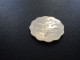 BAHAMAS * : 10 CENTS   1998    KM 61     SUP+ - Bahama's