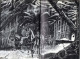 PORT OFFERT  :  DRACULA De Bram Stoker Editions OPTA 1968 Illustration De Philippe DRUILLET , Exemplaire N°3005 - Opta