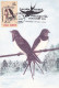 BIRD SWALLOWS, 1993 MAXIMUM CARD,CARTE MAXIMUM,CM ROMANIA - Swallows