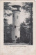 Lochem - Belvedere Bij De Lochemsche Berg - 1905 - Lochem