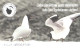 Latvia:Used Phonecard, Lattelekom, 2 Lati, Bird, Gull, 2003 - Latvia