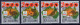 Delcampe - Yugoslavia 2000 Europa CEPT Millennium Butterflies Bee WWF Birds Olympic Games Sydney Costumes, Complete Year MNH - Années Complètes