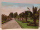 Cartolina Cittanova Provincia Reggio Calabria , Giardini Pubblici 1961 - Reggio Calabria