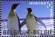 Belgium 2009 MiNr. 3930 - 3931 (Block 140) Belgien BIRDS ANIMALS Polar Regions And Glaciers S/sh MNH** 8.00 € - Arctische Fauna