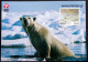 Greenland 2002 Cards   Minr.337    (lot 6291 ) - Brieven En Documenten