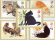 GRANDE BRETAGNE - AQUARELLES DE CHATS - CARTE MAXIMUM - N° Yvert 1789/1793 - Maximum Cards