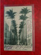 Carte BRESIL TAUBATE RUA DAS PALMEIRAS - Covers & Documents