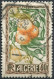 Delcampe - Algérie - 1947 -> 1957 - Lot Timbres * TC Et Oblitérés - Normaux, Preo Et Franchise Militaire - Nºs Dans Description - Used Stamps