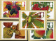 GRANDE BRETAGNE - LES FRUITS D'AUTOMNE - CARTE MAXIMUM - N° Yvert 1692/1696 - Cartes-Maximum (CM)