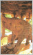 India Khajuraho Temples MONUMENTS - LORD VISHNU VARAH Temple Picture Post CARD New As Per Scan - Hinduism