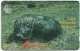 St. Vincent - C&W (GPT) - Carib Petroglyph, 5CSVB, 1992, 22.000ex, Used - Saint-Vincent-et-les-Grenadines