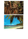 Lot 2 Cpm -  Afrique > Seychelles - VALLEE DE MAI - PRASLIN // ANSE FOURMIS LA DIGUE - Animation - Seychellen