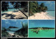 Delcampe - CPM - MALDIVES - Vues Diverses ... LOT 5 CP à Saisir - Maldive