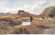 Elsterbrücke Am Unterlauf.  Series 960. 4. - 1900-1949