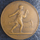 Alès – Medaille En Bronze Société D’Agriculture D’Alais Gard, Par Lagrange - Professionals / Firms