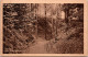 #3151 - Heerlen, Kijkje In Het Aambosch 1922 (LB) - Heerlen