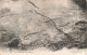 CPA - Tipasa - La Mosaïque Des Poissons - J.Geiser - Phot Alger - Carte Postale Ancienne - Objetos De Arte