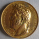 Médaille Cuivre, Inauguration De Arc De Triomphe De L'Etoile 1836 Louis Philippe, Par Montagny - Royaux / De Noblesse