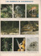 Collection PANINI Découvertes N°1.01 : Les Animaux : Documentation Scolaire : Biologie - 1989 (Voir Photos). - Unclassified